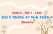 Bài 5 trang 47 SGK Toán 8 Tập 1 Chân trời sáng tạo